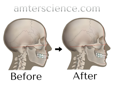 Amter Nasal Contour DC40